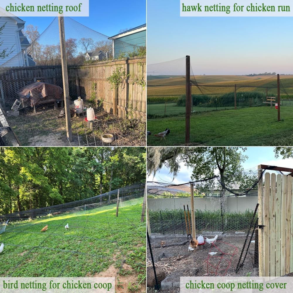 Bird Netting for Chicken Coop  - Running Cap Mesh ulasan dan harga